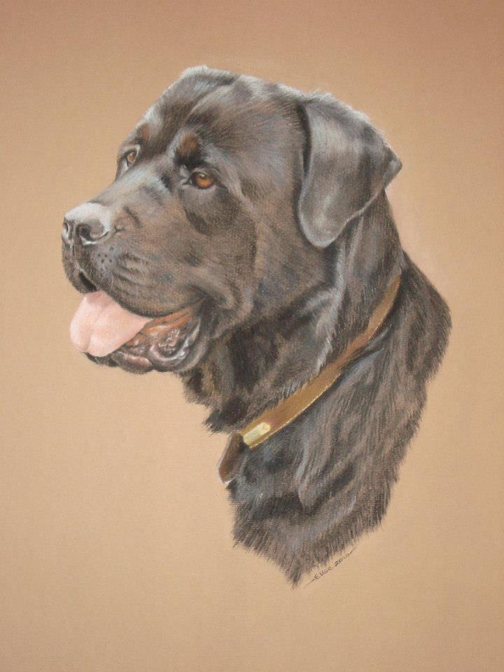 10382172_1455277768077013_3909255152878902502_n