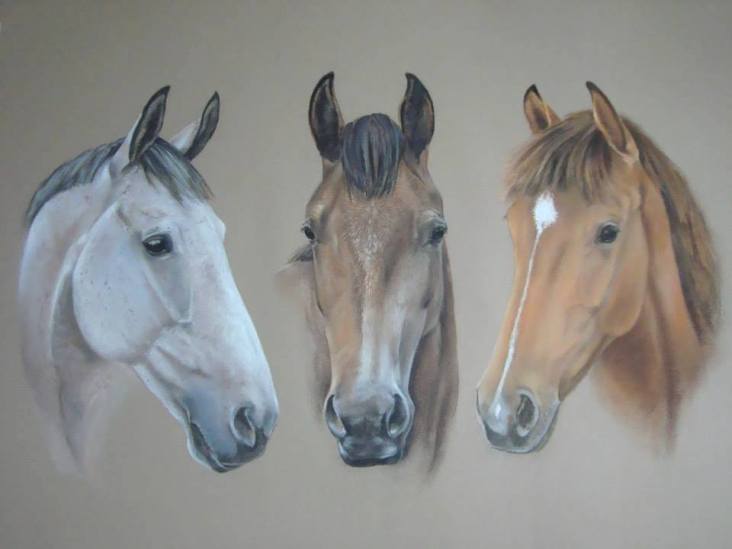 10533442_1455277004743756_7632999221732467129_n