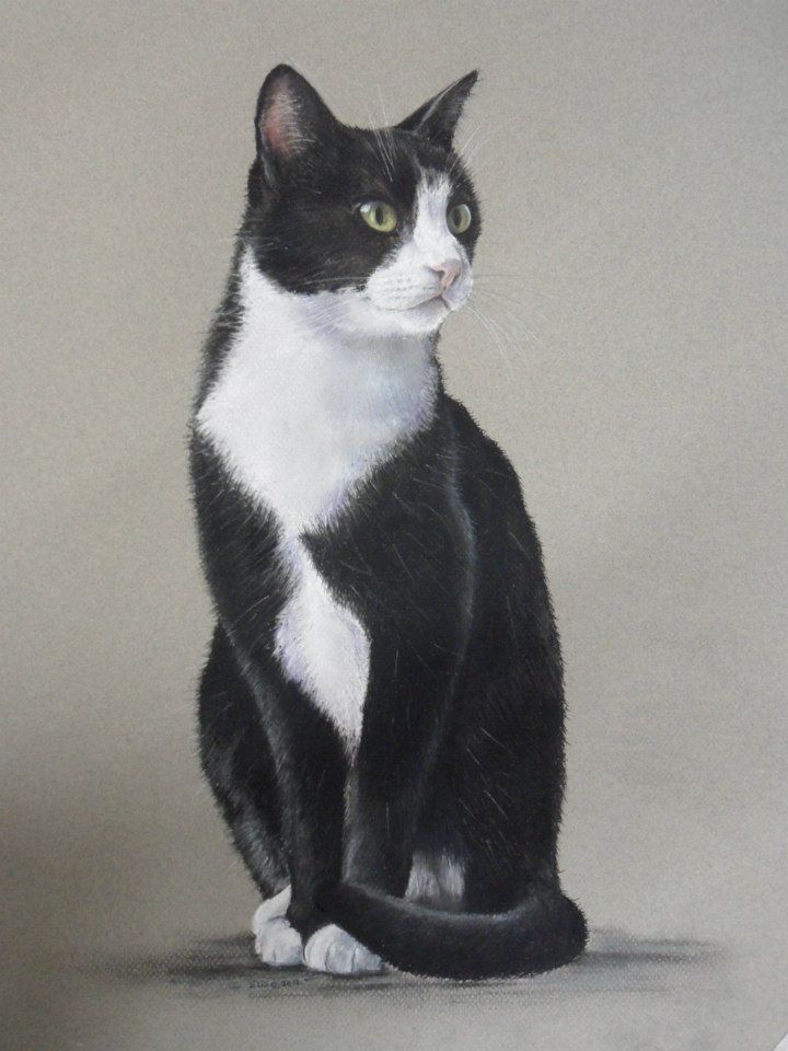 10592838_1455277028077087_7518156000846247133_n