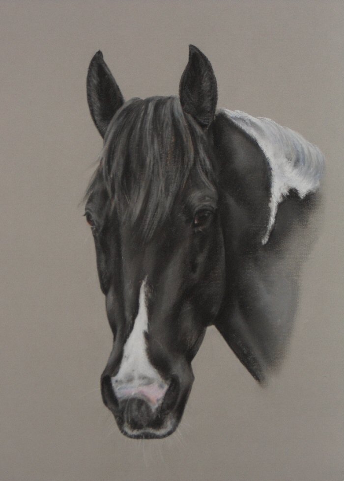 Lucy-resized-for-website